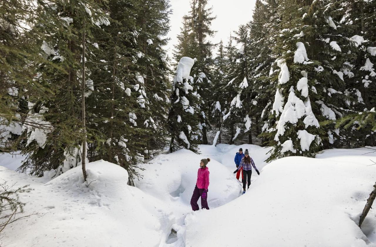Soleil Chalet By Bear Country Sun Peaks Exteriér fotografie