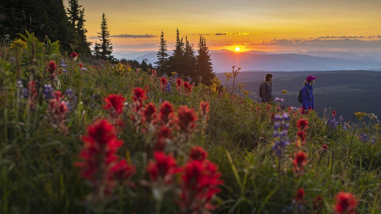 Soleil Chalet By Bear Country Sun Peaks Exteriér fotografie